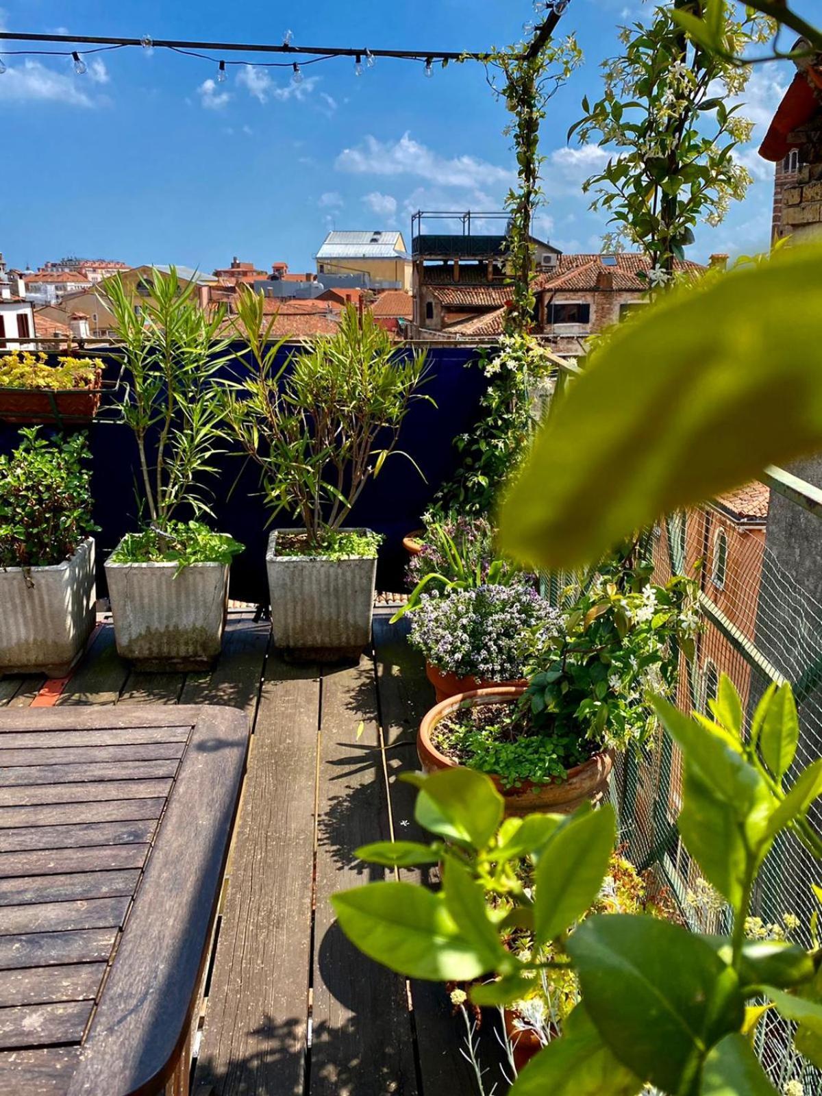Angel Terrace Venise