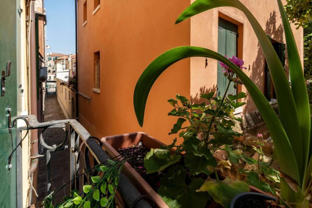Apartment Ca' Mandorla 027042loc09523 Venice