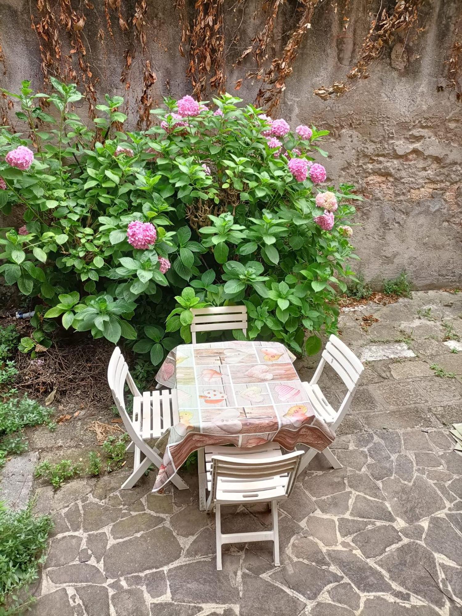 Ca' Trapolin Wifi Center 520 Apartment