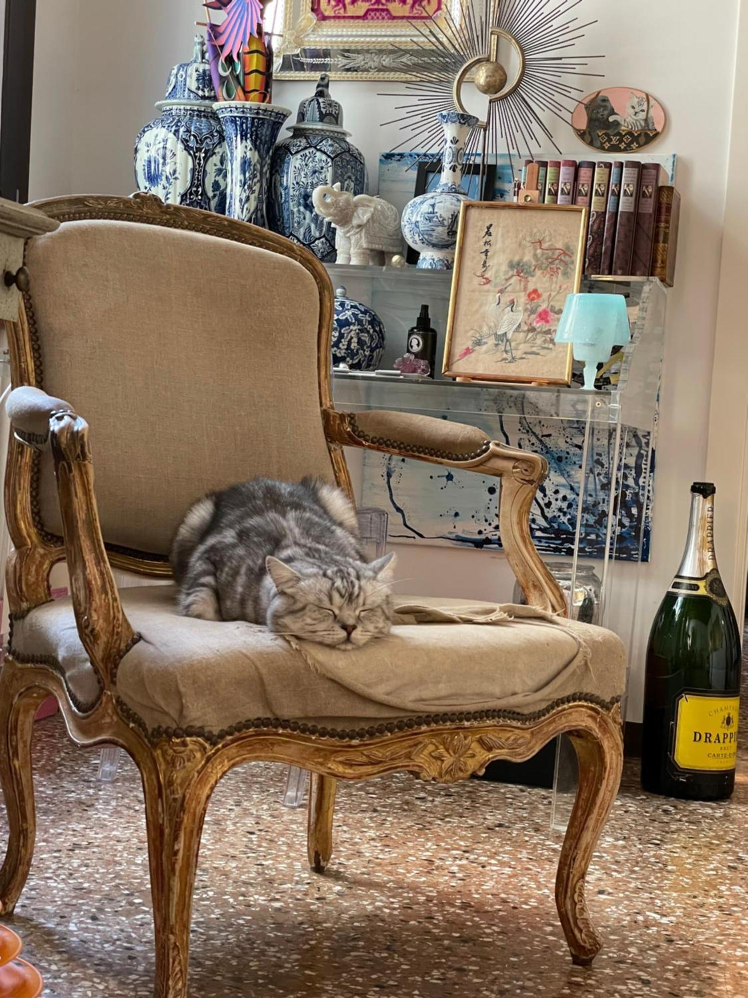 Privatunterkunft Cats And Antiques In Private