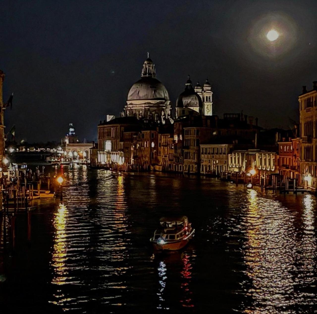 Cats And Antiques In Private Venedig