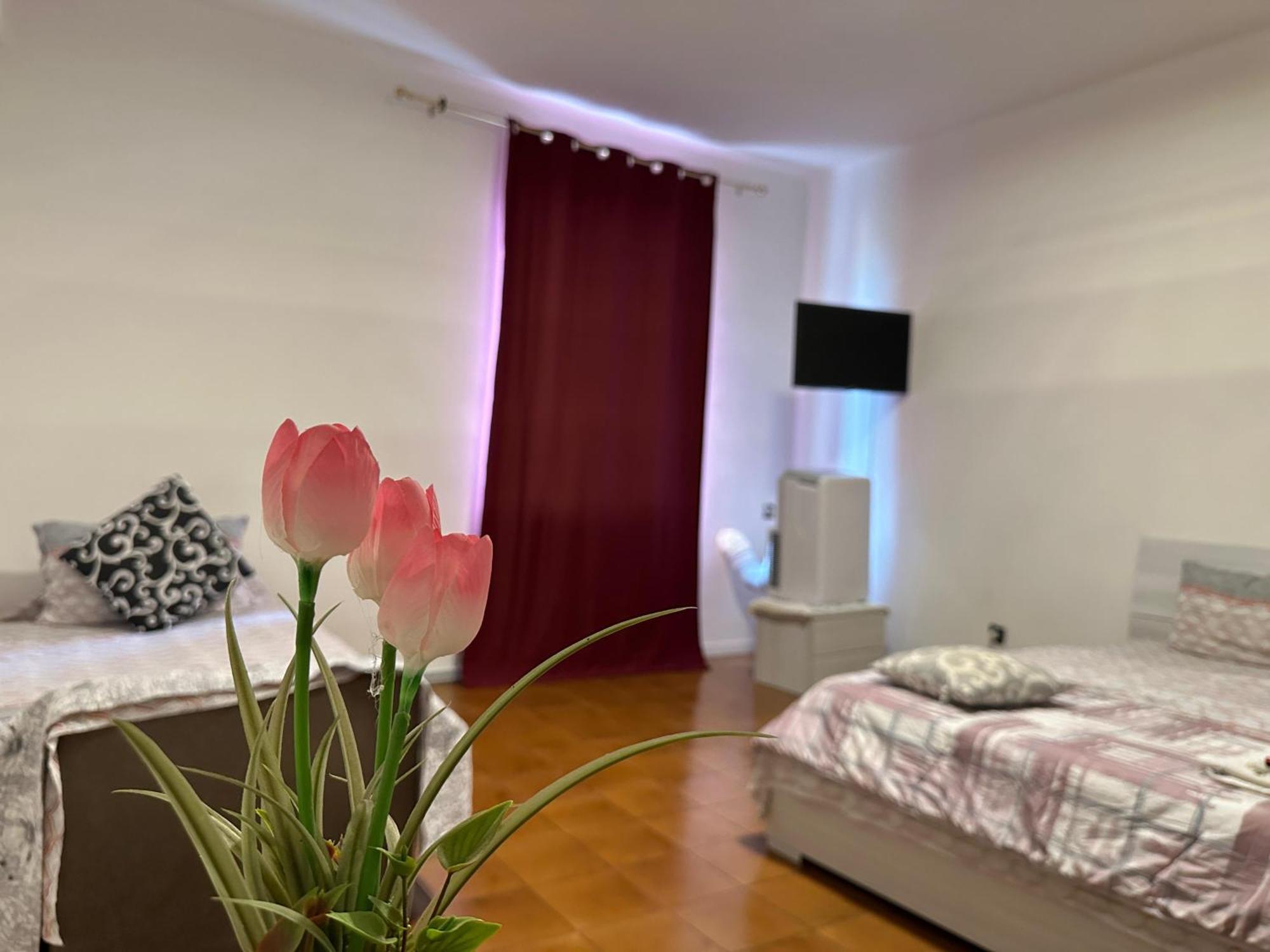 Appartement Good Morning Venise