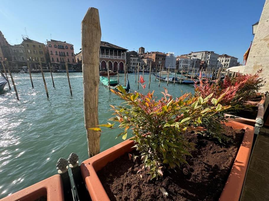 Appartement Grand Canal Diamond Venetië
