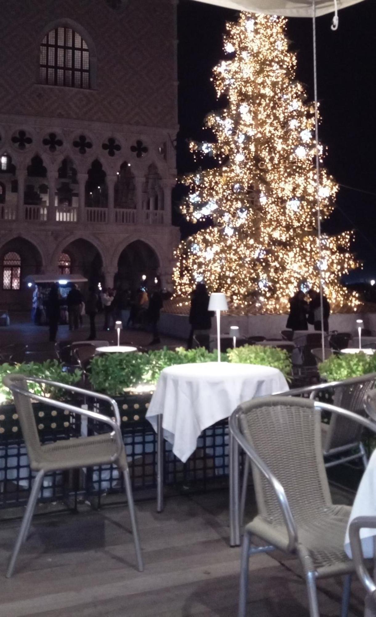 Biennale Bed & Breakfast Venice