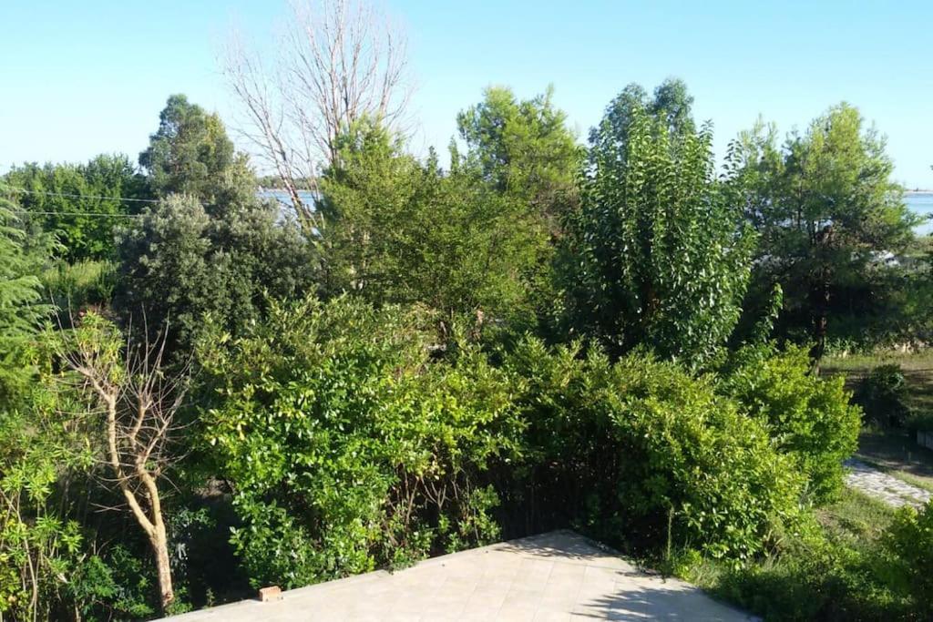 A Sant Erasmo * Venise