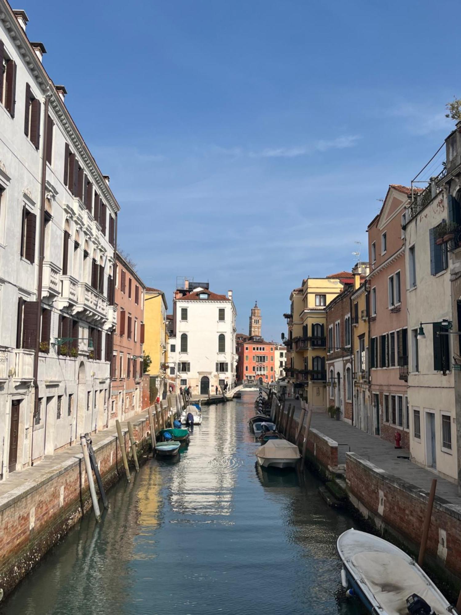 Peggy Venedig