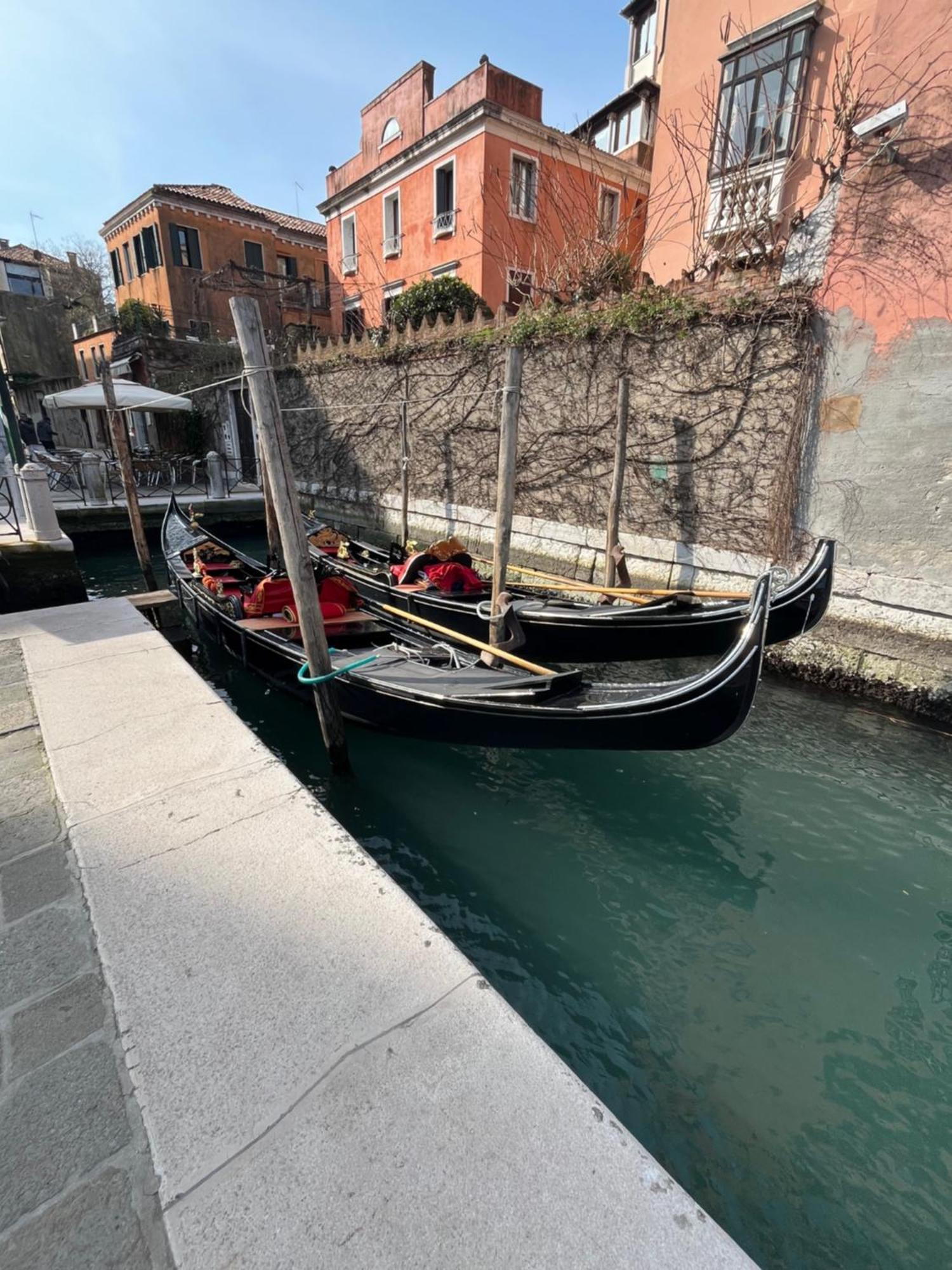 Peggy * Venedig
