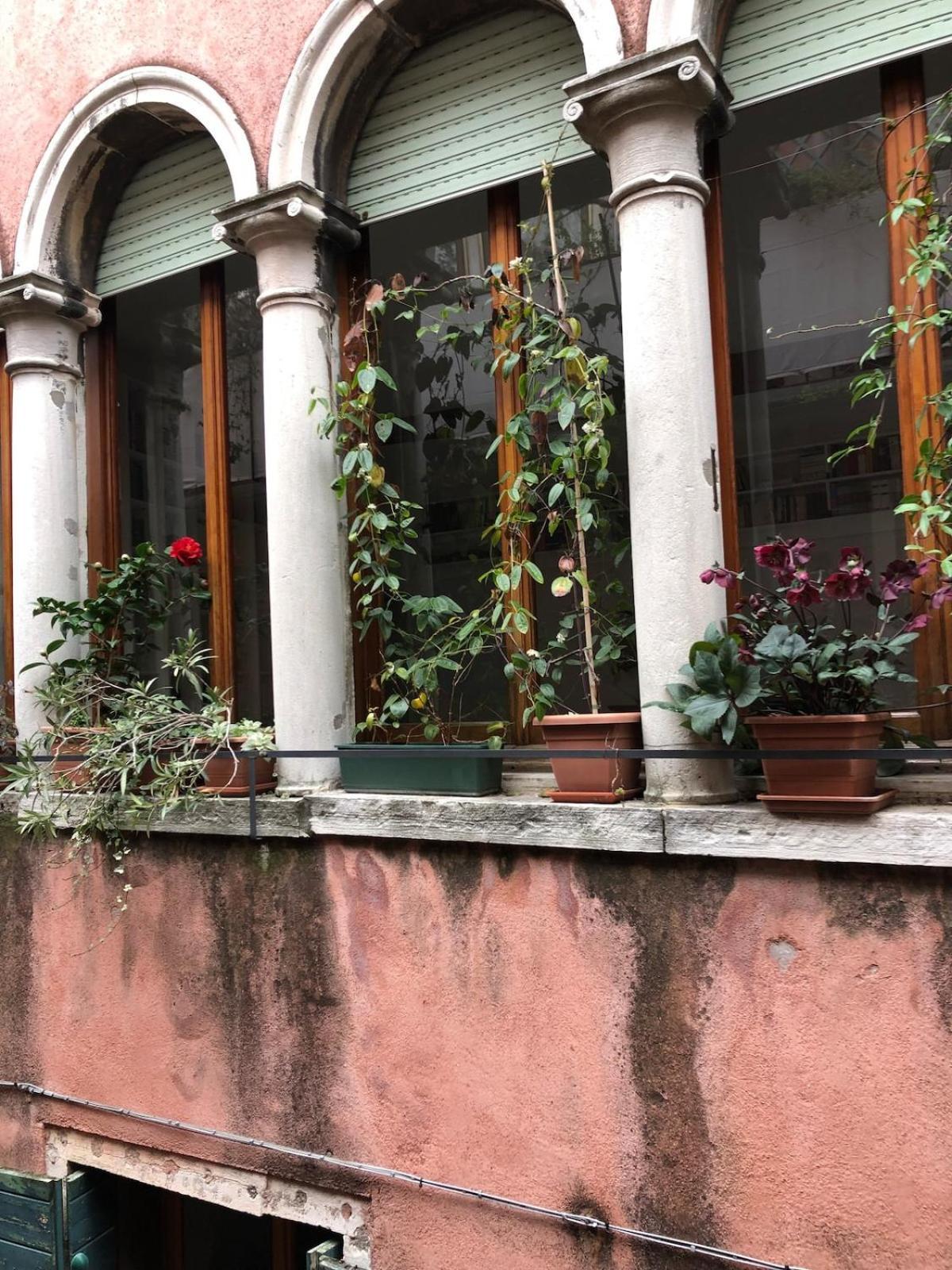 The Magic Of From A Cute Loft Appartement Venise