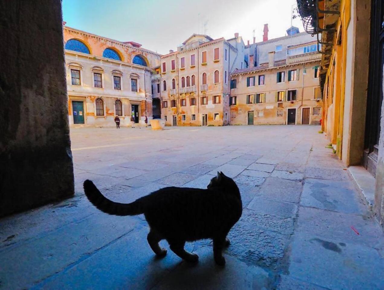 Ca'rialto Venezia
