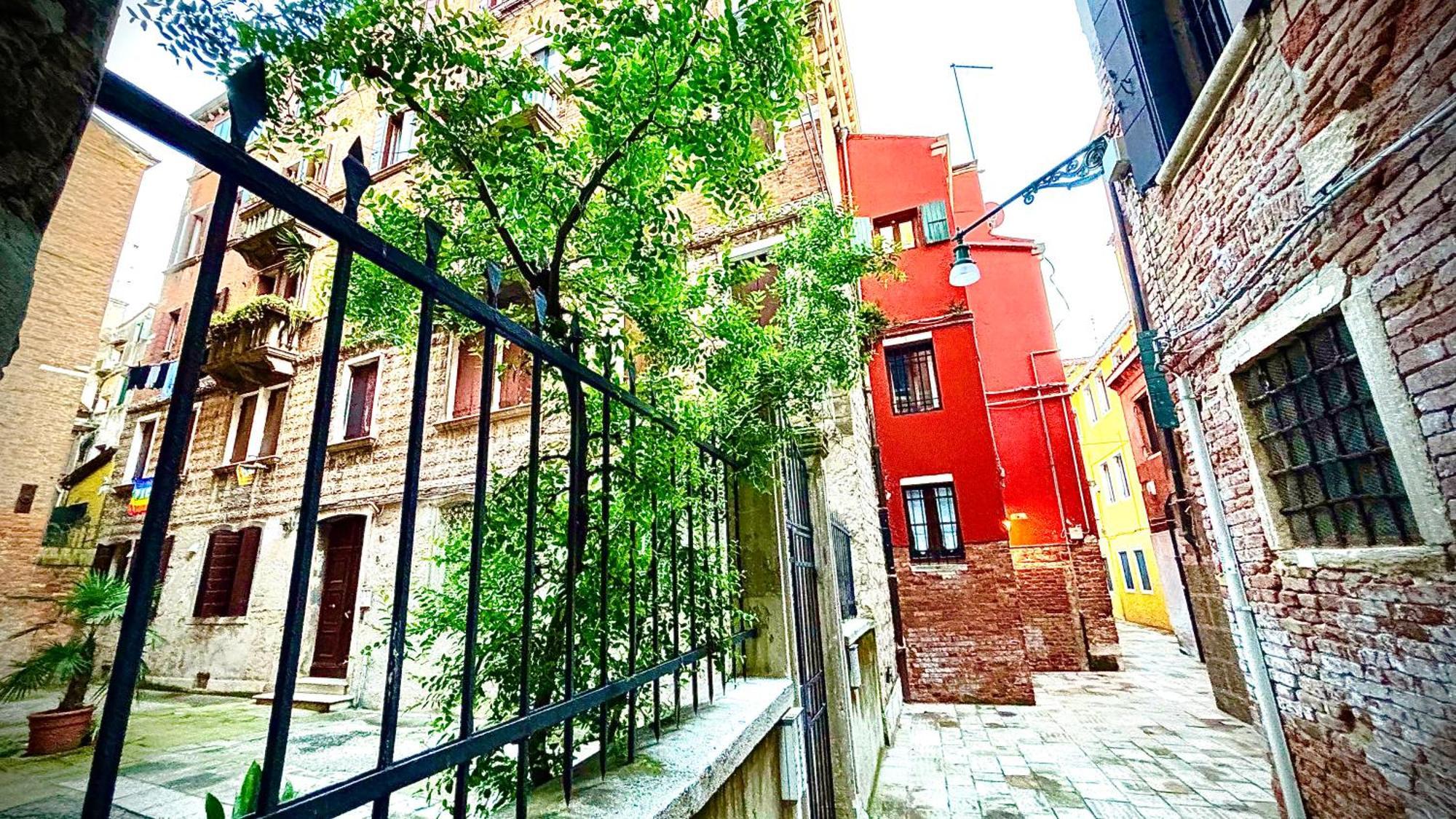 Apartment Falier- Luminosa