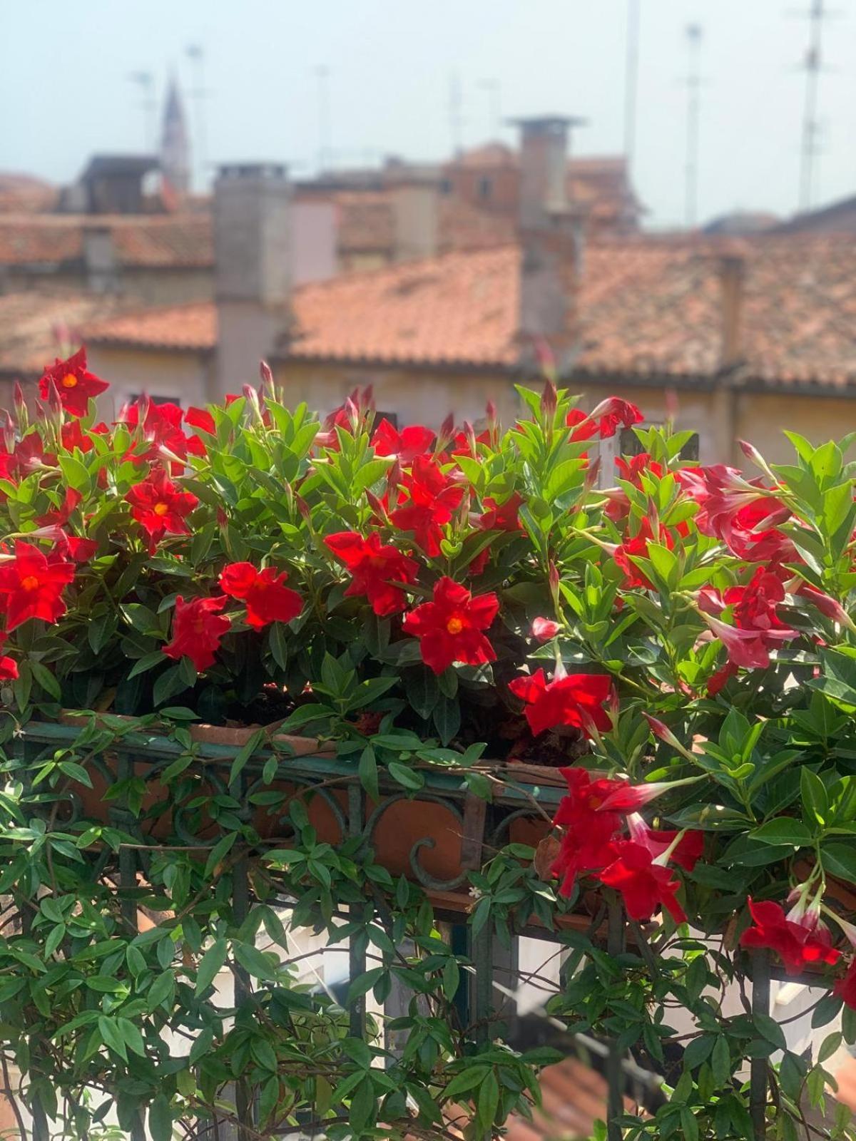 Elegant Terrace Near Piazza San Marco Last Floor No Lift Appartement *