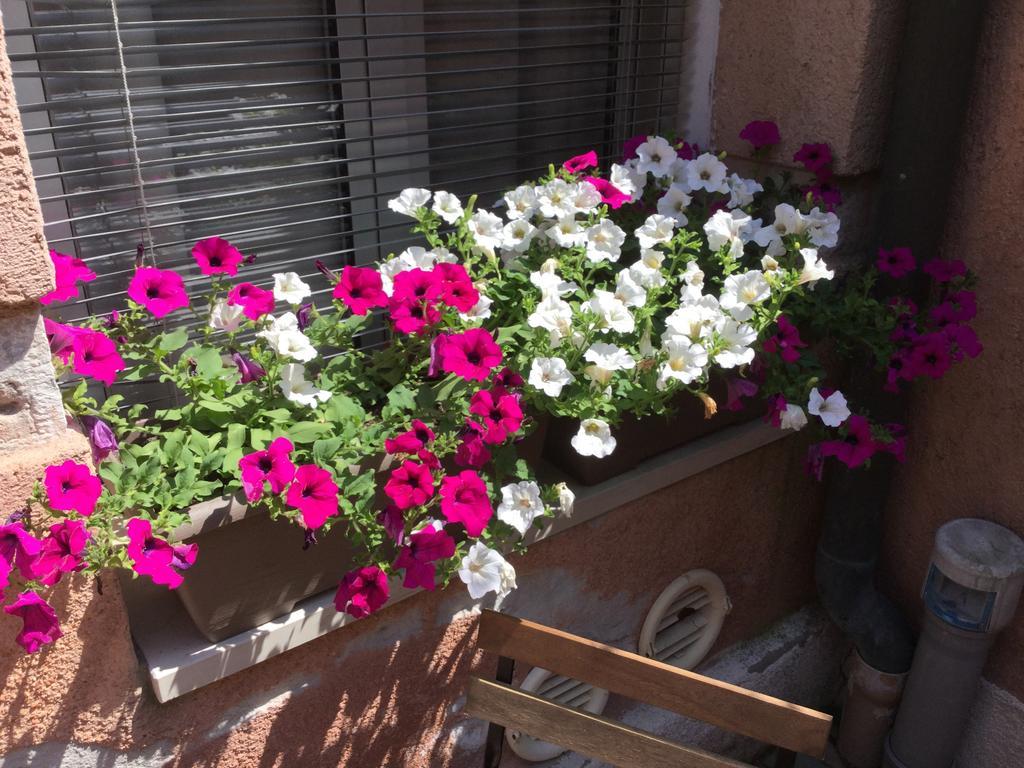 Appartement Cannaregio Ii Venetië