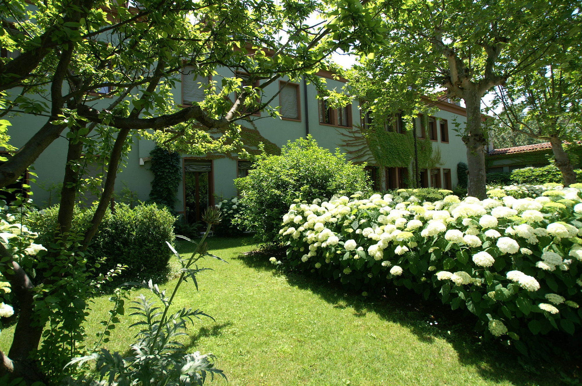 Hotel Bauer Palladio & 5*