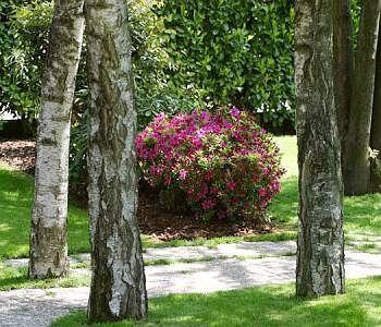 B&B Al Giardino
