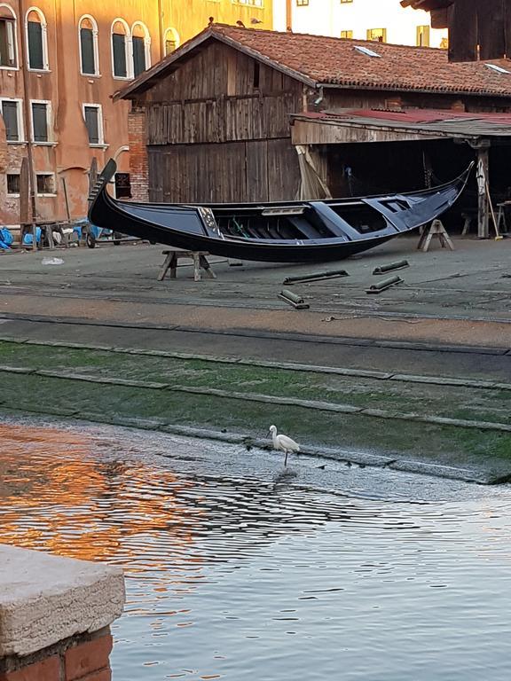 Garden Ca' Rezzonico Venise