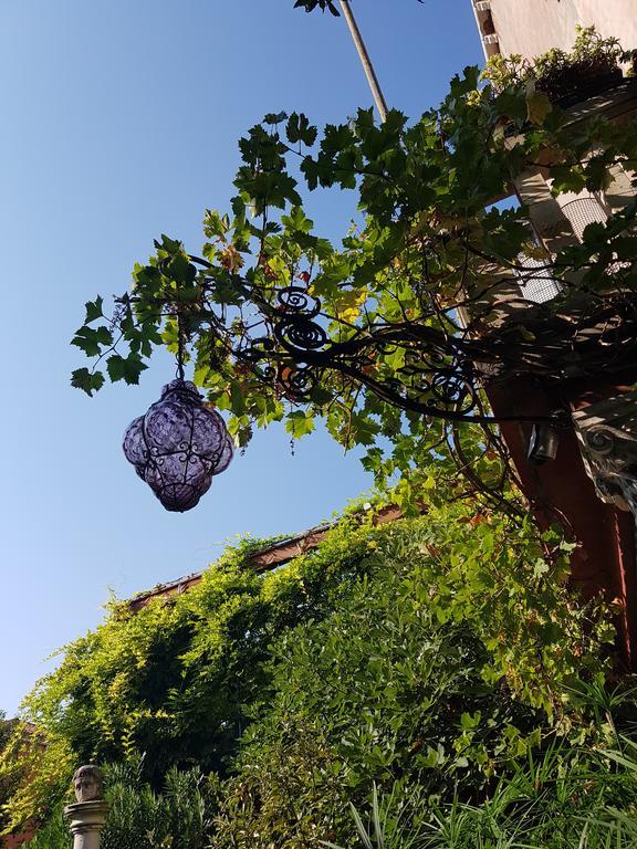 Garden Ca' Rezzonico Venise