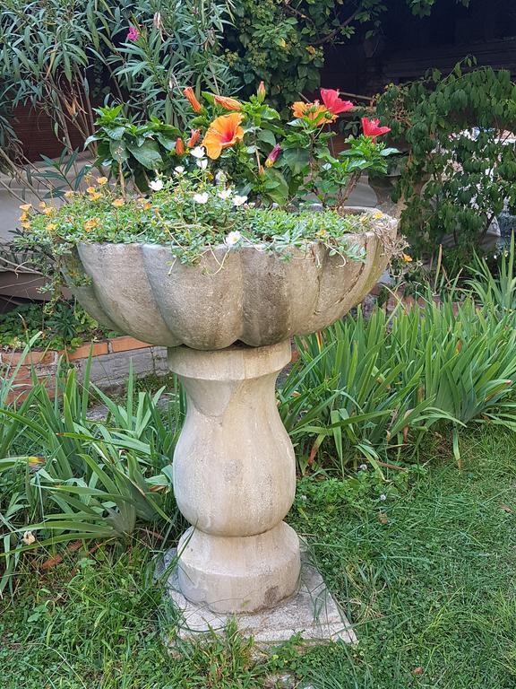 Garden Ca' Rezzonico