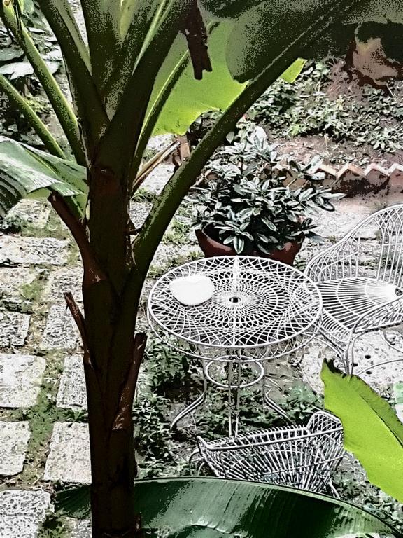 Garden Ca' Rezzonico Appartement