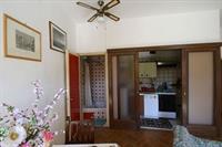 Grifone Venice