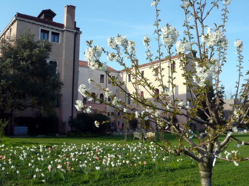Hotel Bauer Palladio & 5*