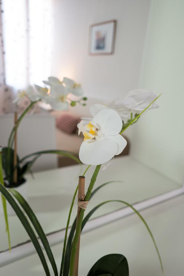 Gasthof Backpackers House Venedig