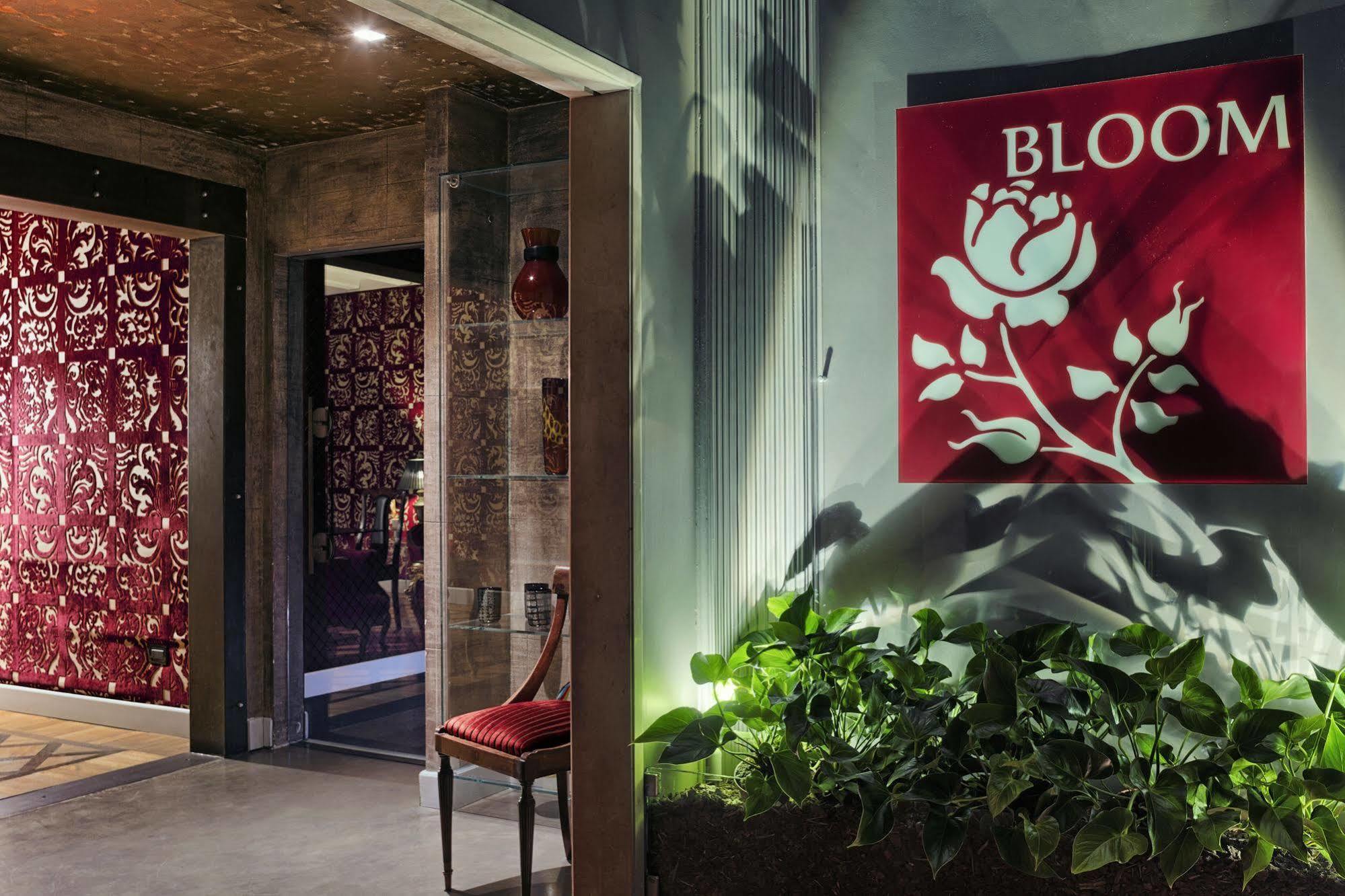 Bloom Settimo Cielo