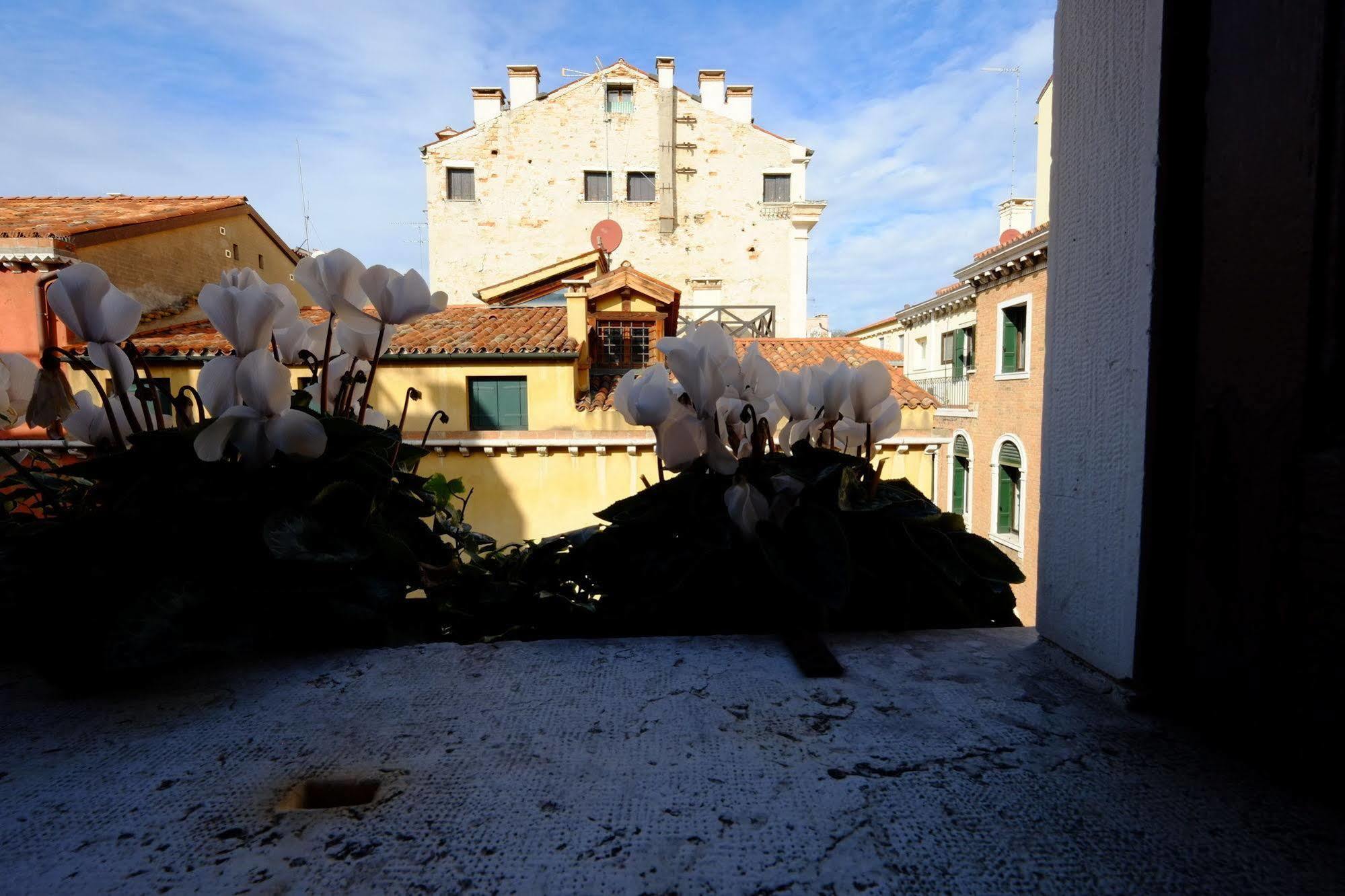 Ca' Pedrocchi Maison d'hôtes Venise