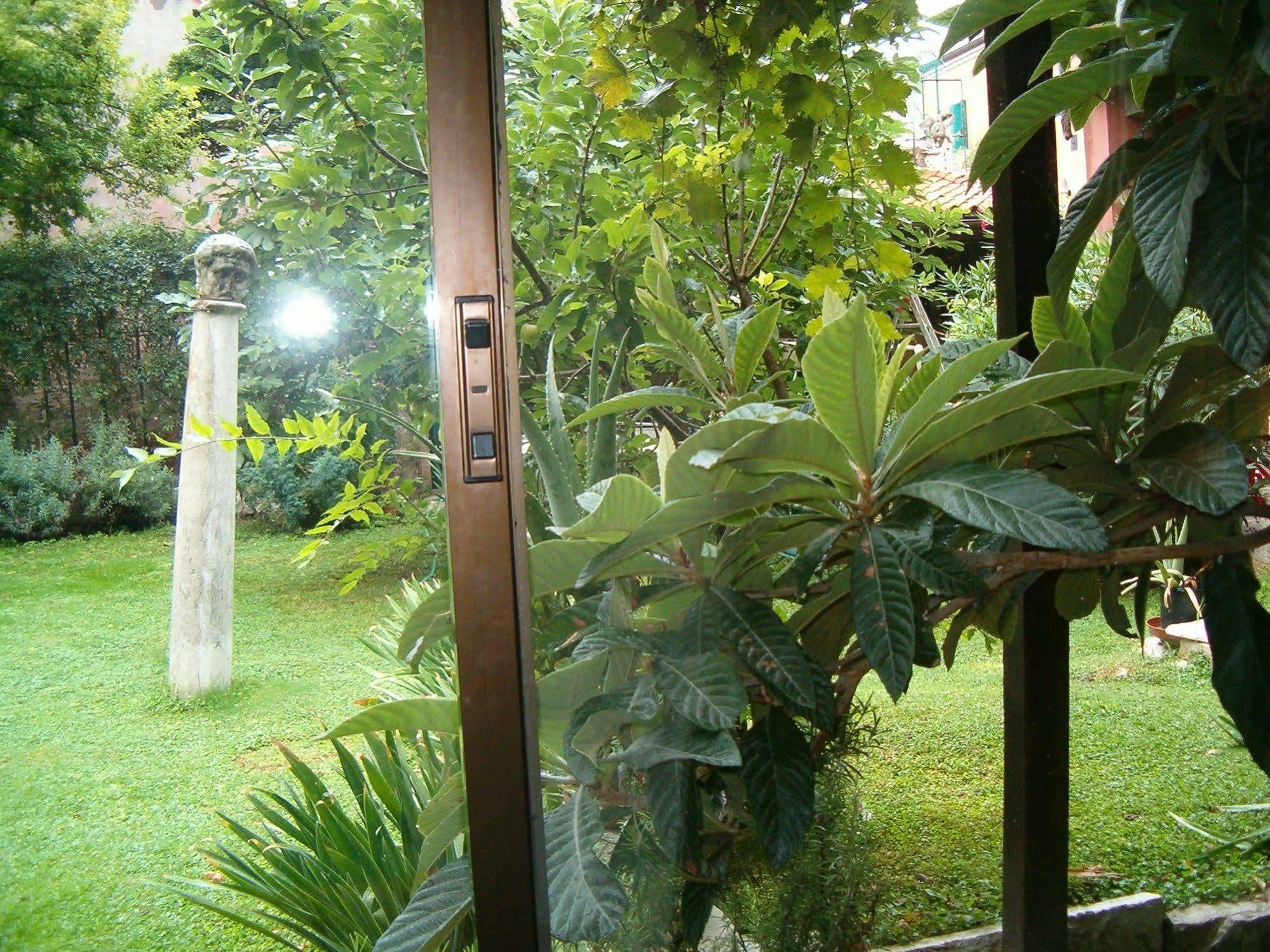 Garden Ca' Rezzonico Venise