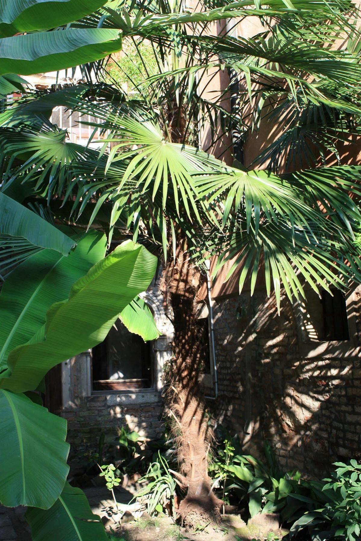Appartement Garden Ca' Rezzonico *
