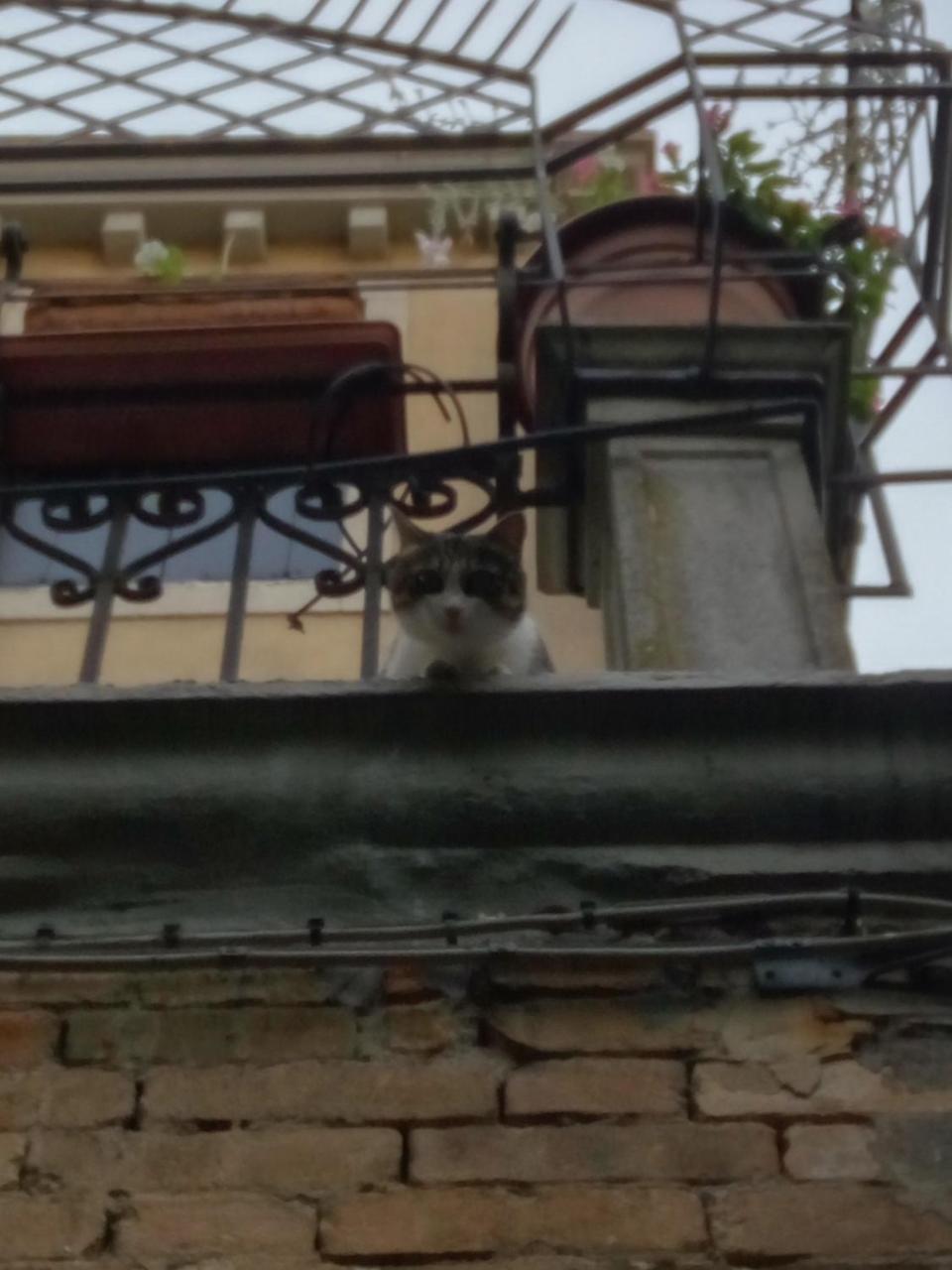 Appartamento Casa Moresca Venezia