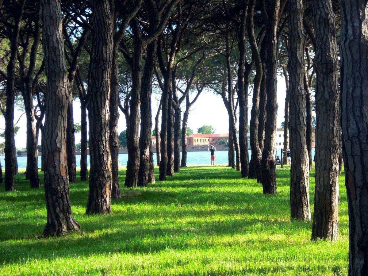 Vaniglia Venise
