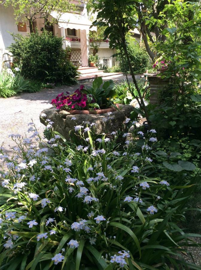 Oasi Di Venise