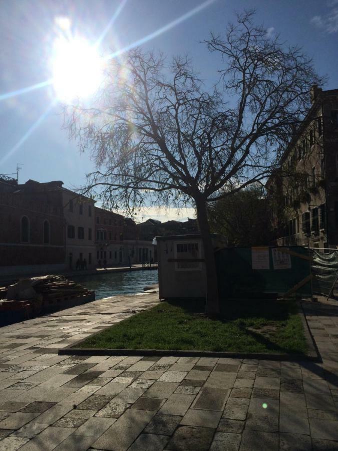 House Biennale Piccolo Leone Appartamento