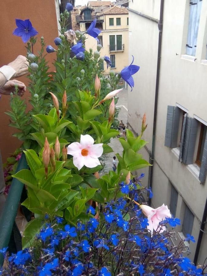 Ca' San Silvestro 2 Terrazze Nel Cuore Di Appartement *
