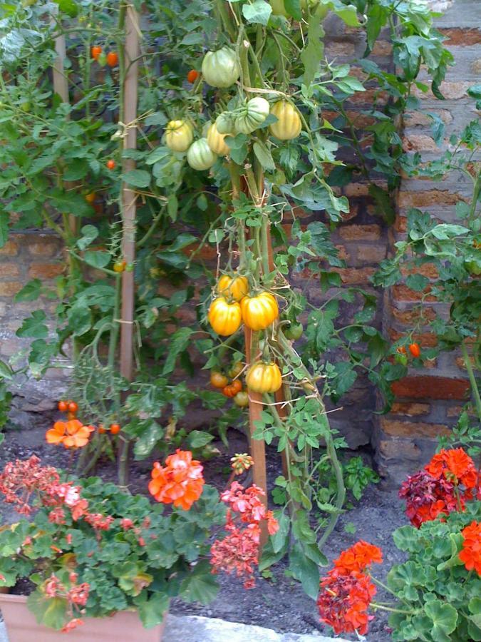 Appartement Ca' Ermina & Garden