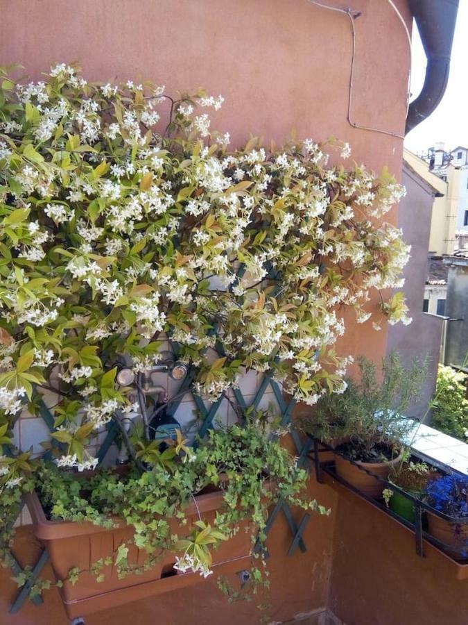Ca' San Silvestro 2 Terrazze Nel Cuore Di Appartement