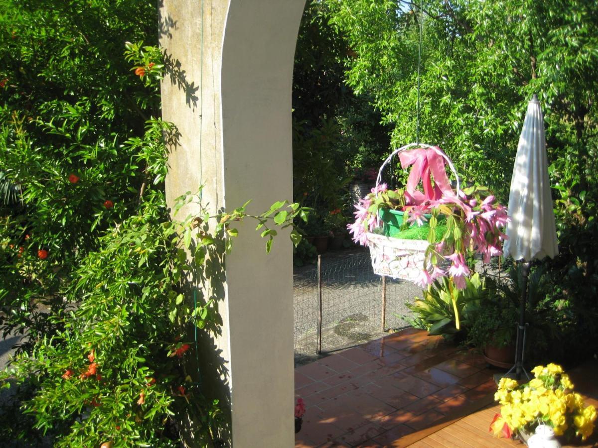 Bed & Breakfast Oasi Di
