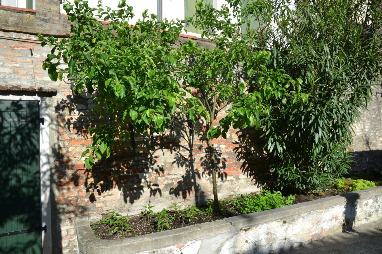 Ca' Ermina & Garden Appartement Venetië