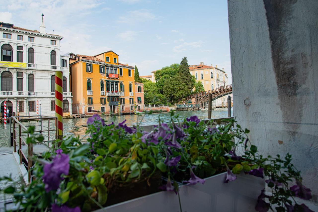 Luxury On The Gran Canal With Wonderful View Venice