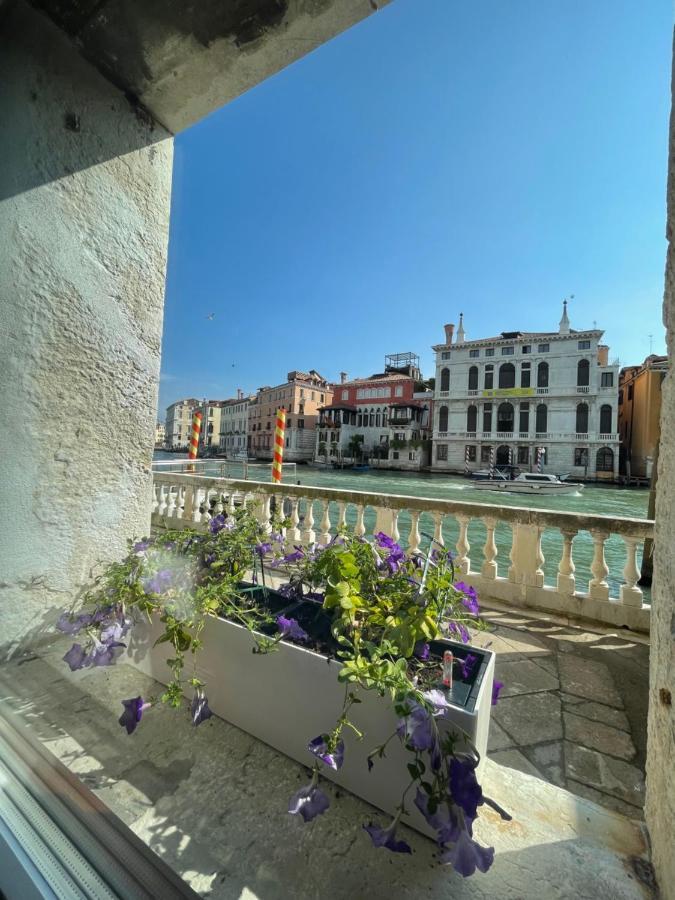 Luxury On The Gran Canal With Wonderful View Apartment *