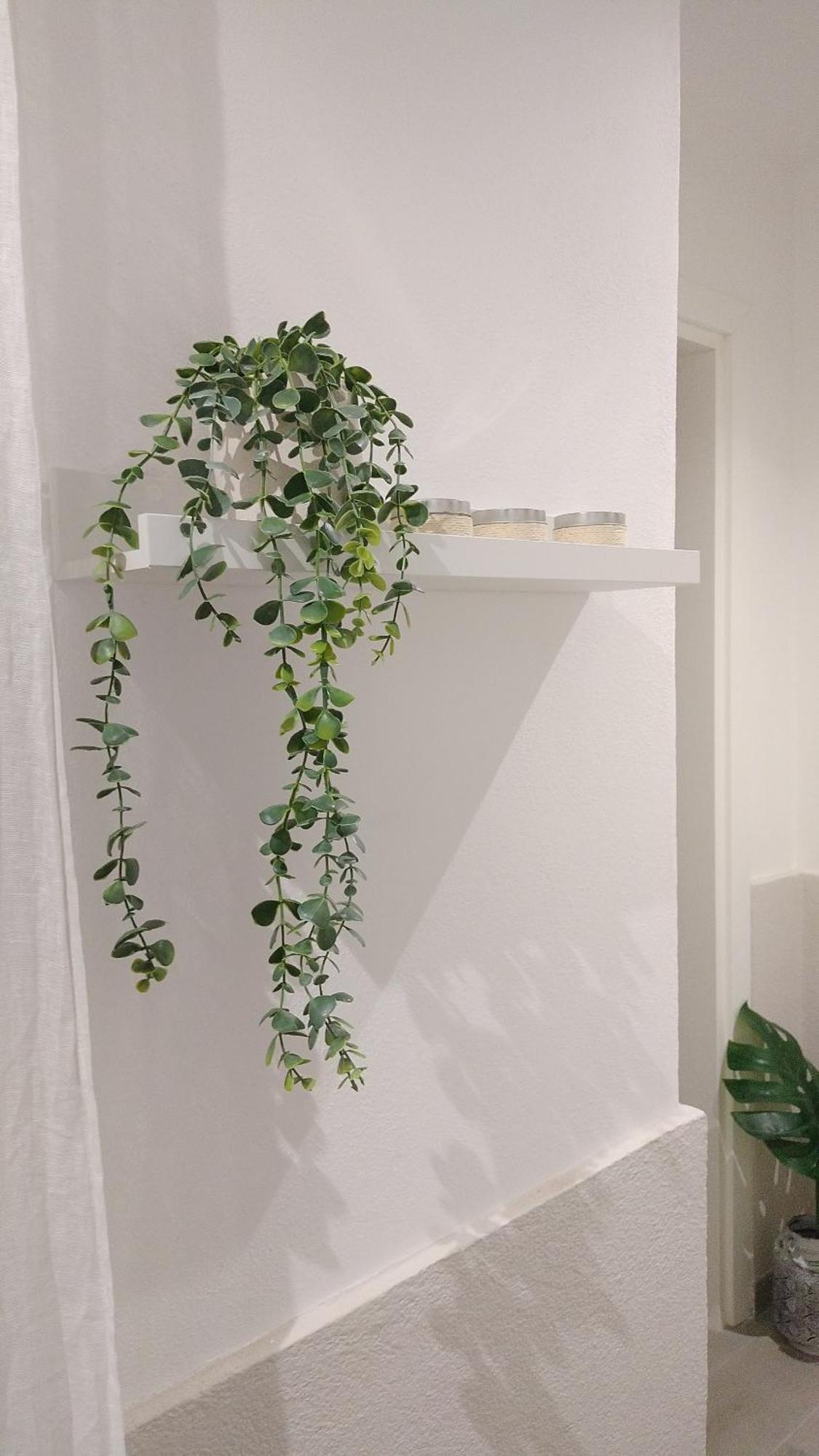 Design House Biennale