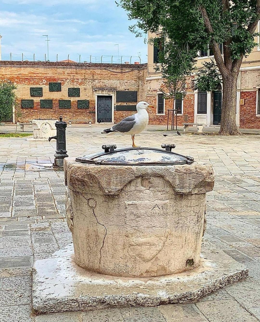 Ca'rosa Venedig