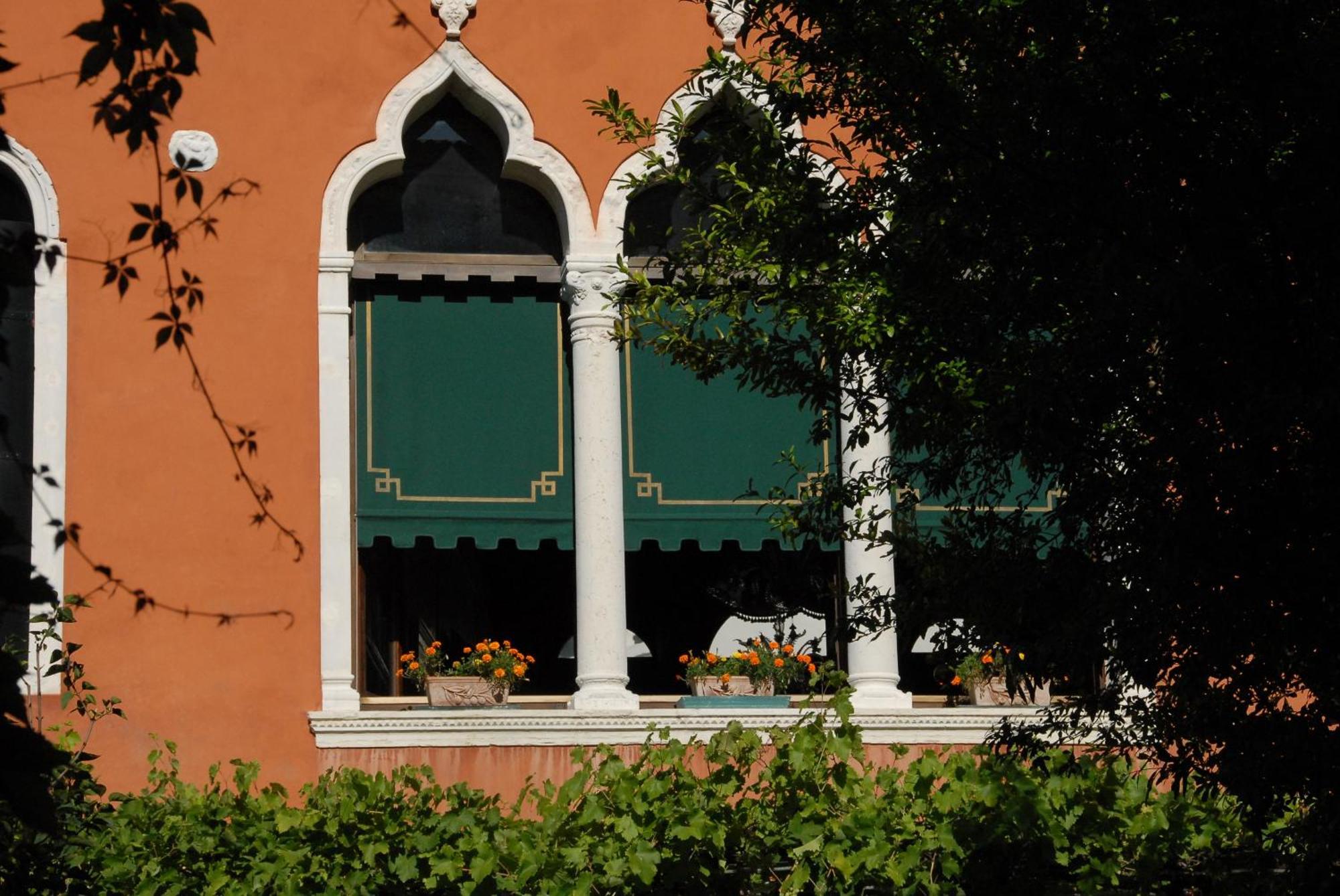 Accademia - Maravege