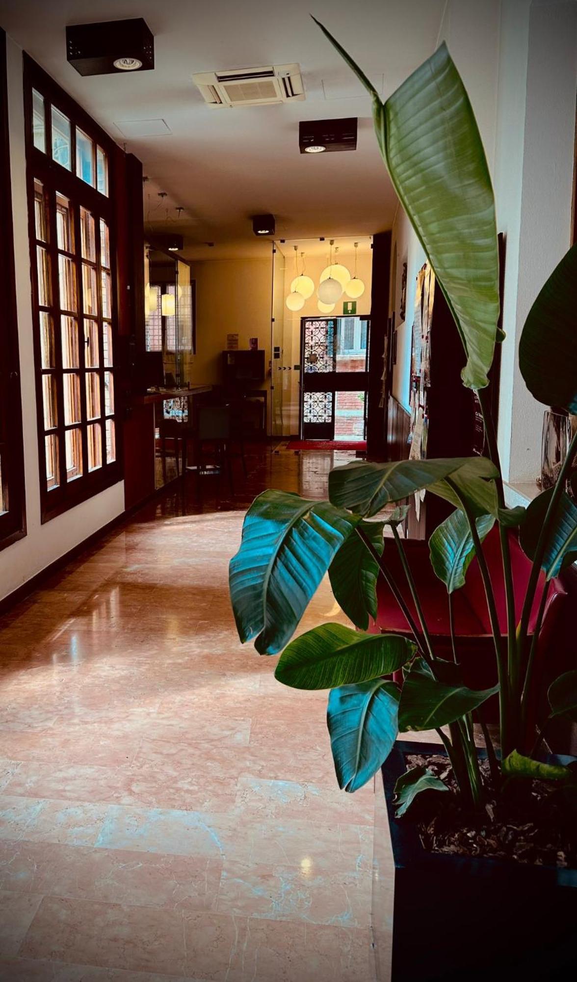 Domus Ciliota 3* Venedig