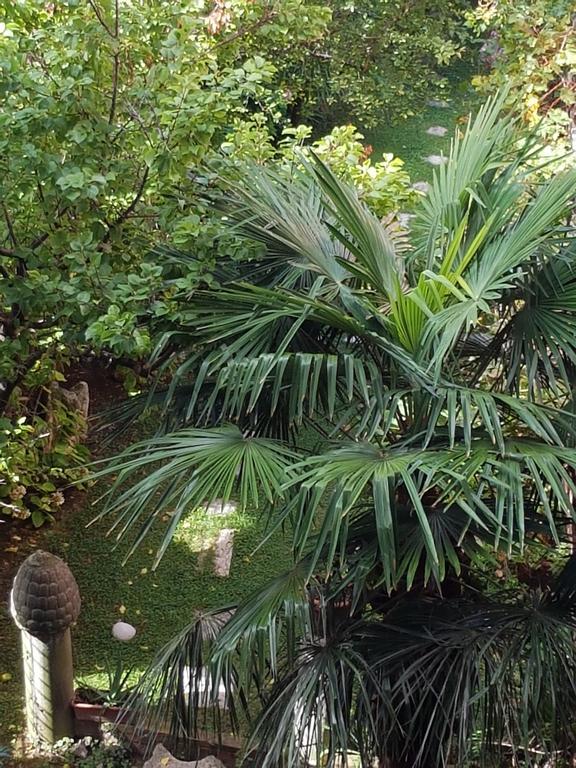 Garden Ca' Rezzonico