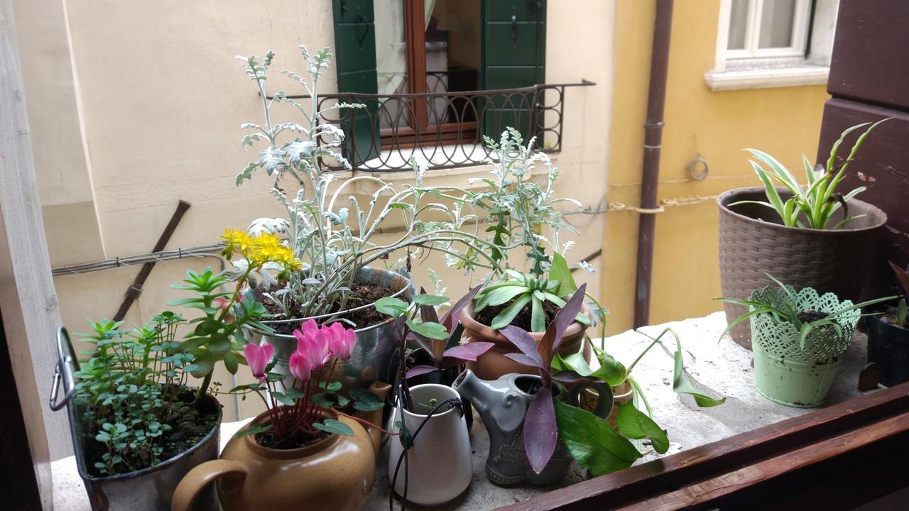 Ostello The Academy Venezia