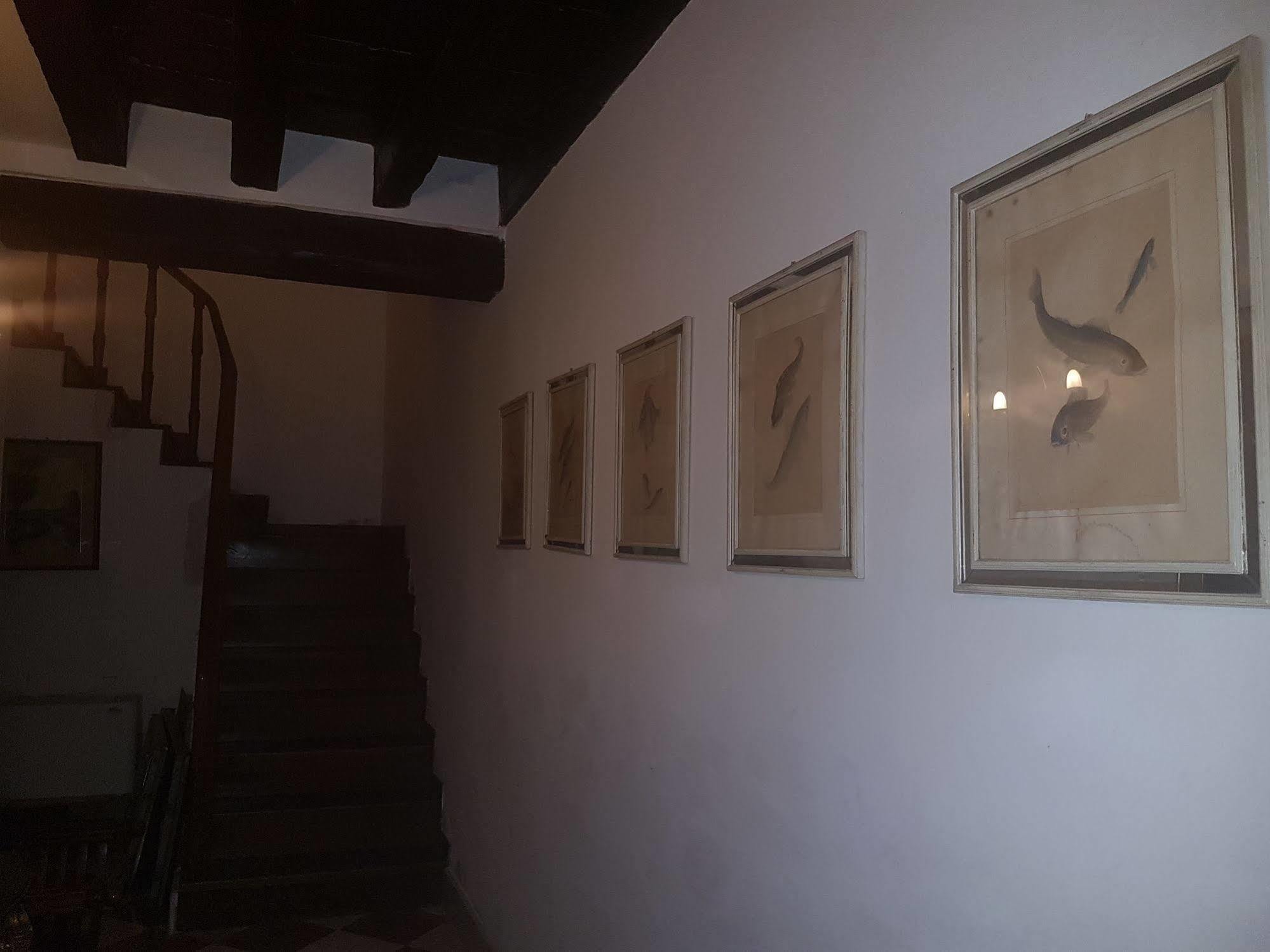 Gasthuis Casa Arte