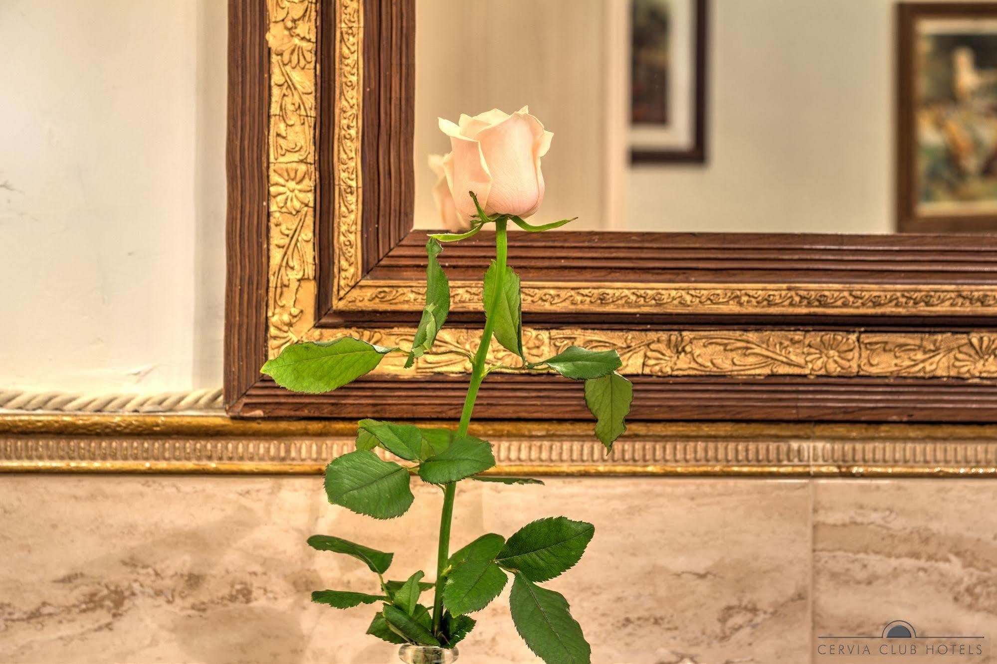 Guest house Residenza Corte Molin Venice