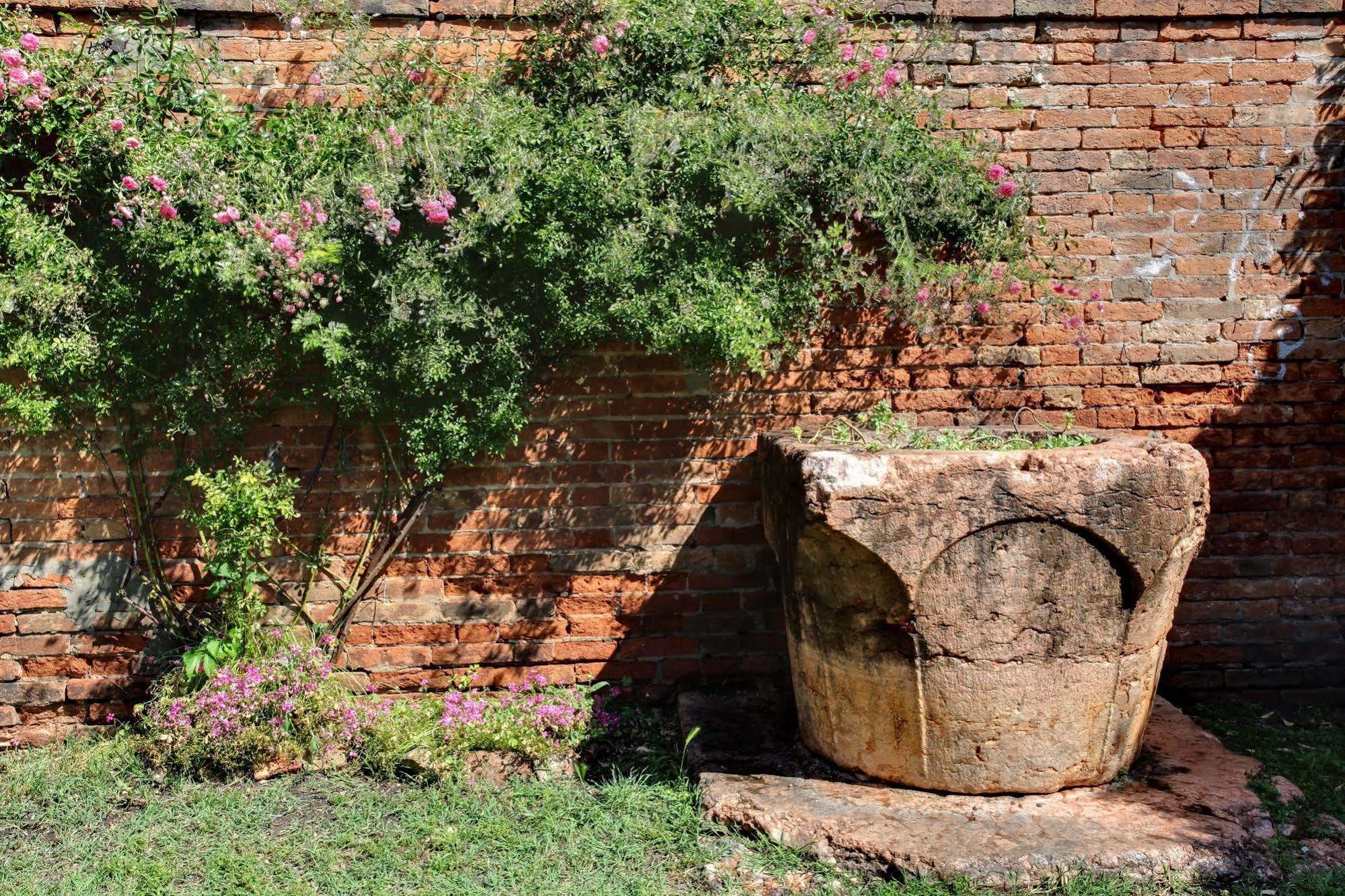 Apartment Garden Houses Venedig