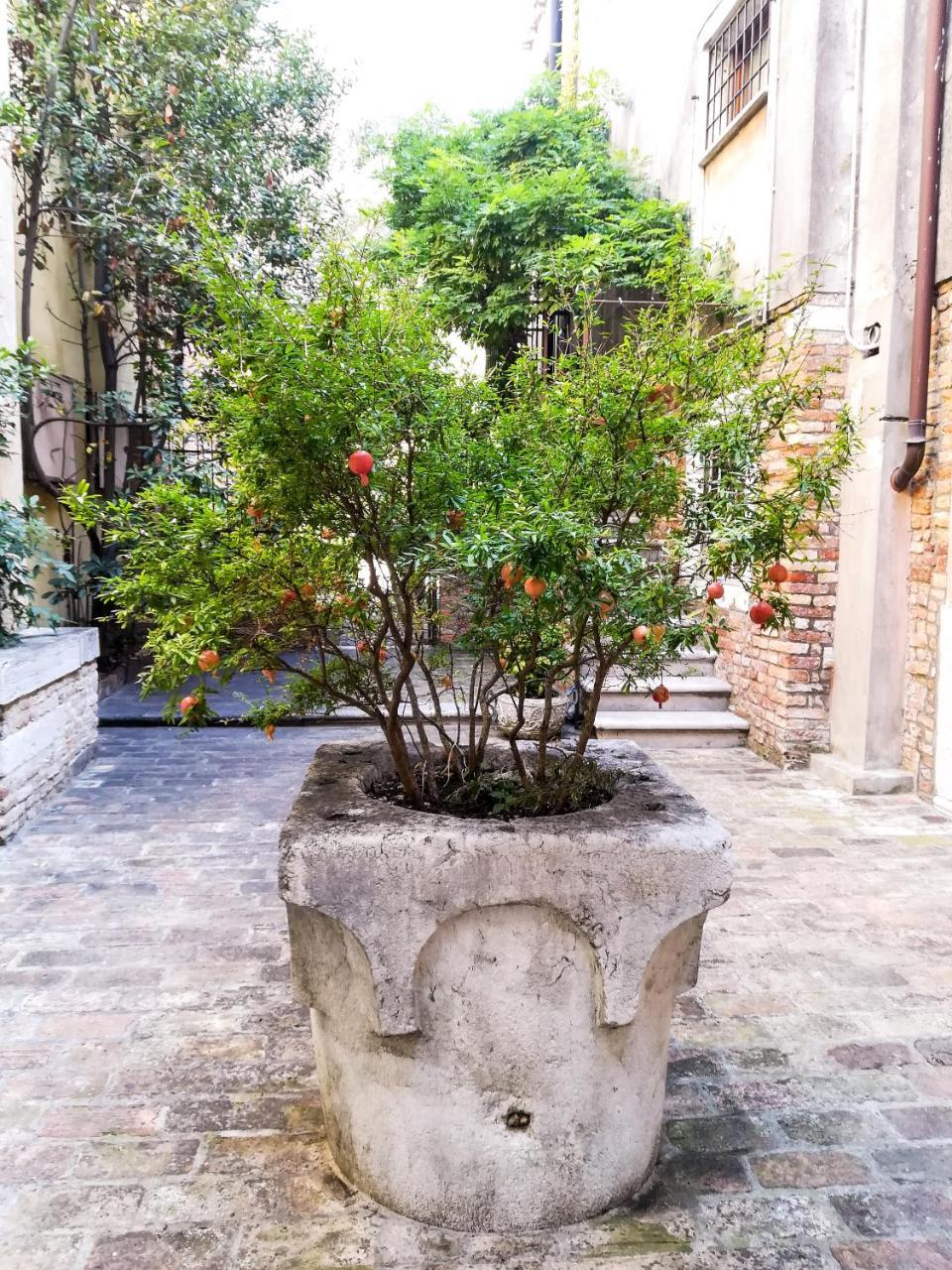 Corte Bragadin Appartement